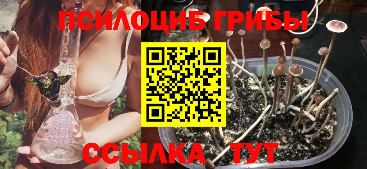 Галлюциногенные грибы мухоморы Сызрань