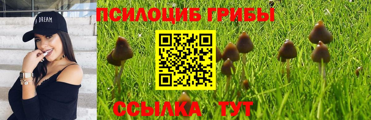 Галлюциногенные грибы мухоморы  Вход с VPN  Сызрань 